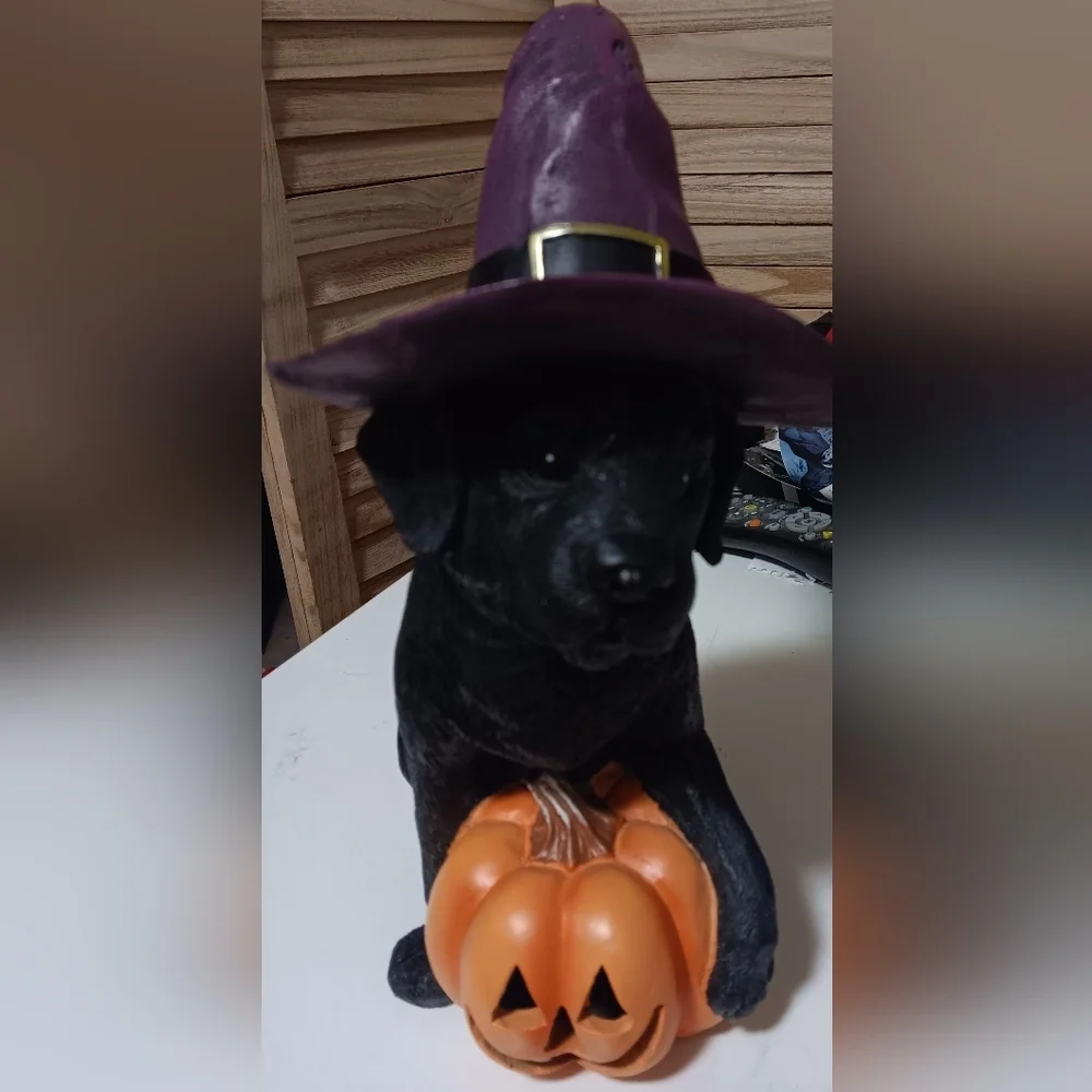 Dog figurine Halloween hat decor black and purple